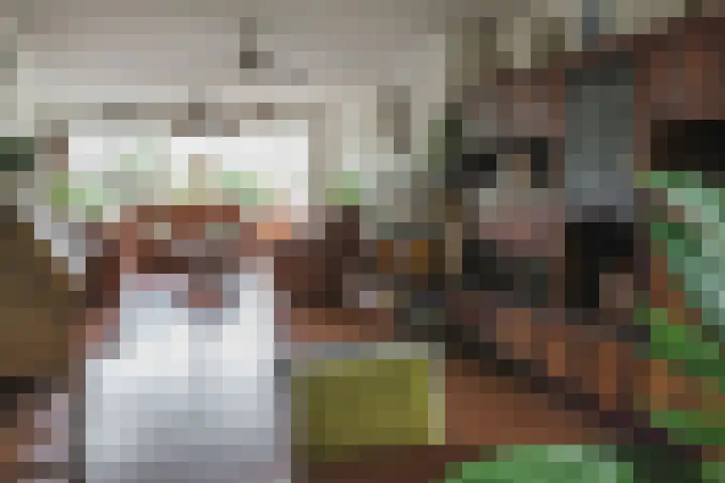 Helmhout 138 Joure thumbnail 10