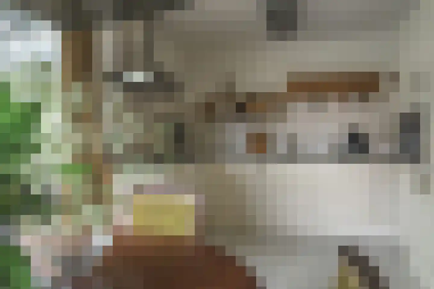 Helmhout 138 Joure thumbnail 11