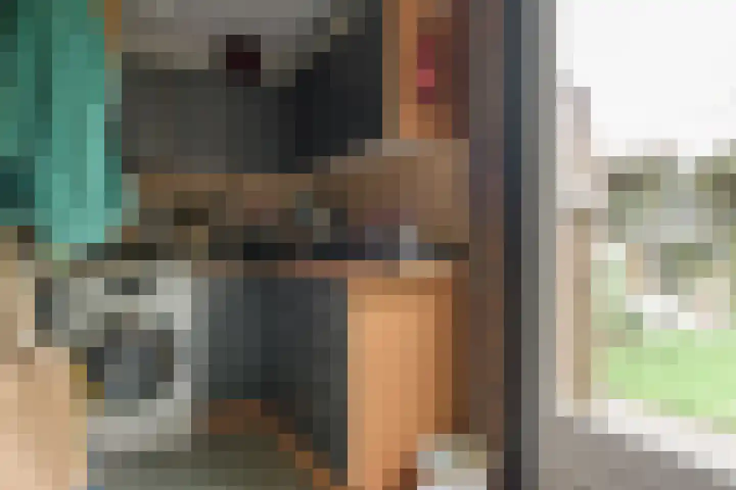 Helmhout 138 Joure thumbnail 12