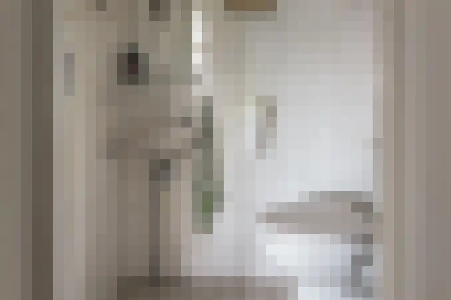 Helmhout 138 Joure thumbnail 14