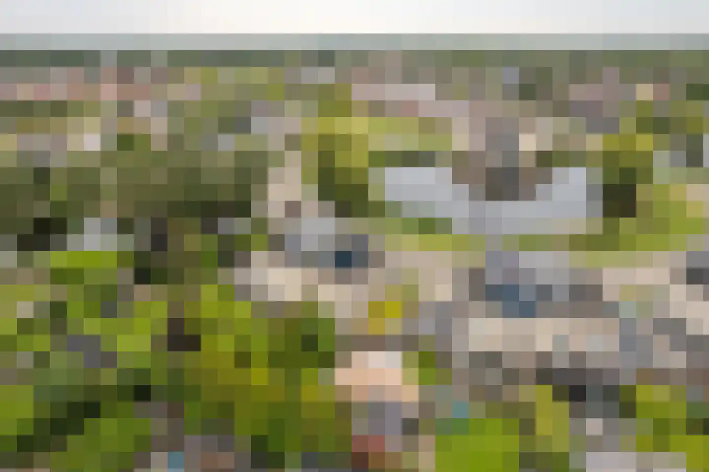 Helmhout 138 Joure thumbnail 25