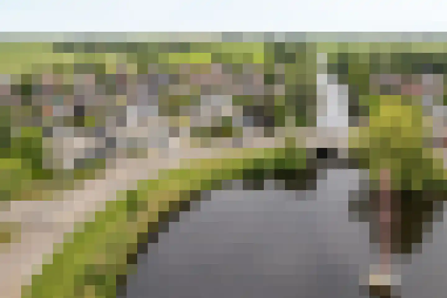 Helmhout 138 Joure thumbnail 30