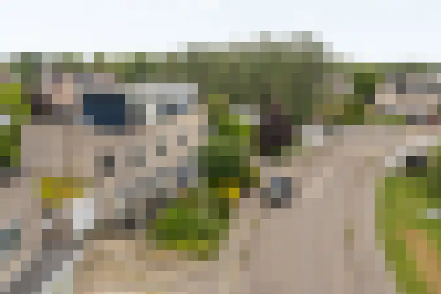 Helmhout 138 Joure thumbnail 32