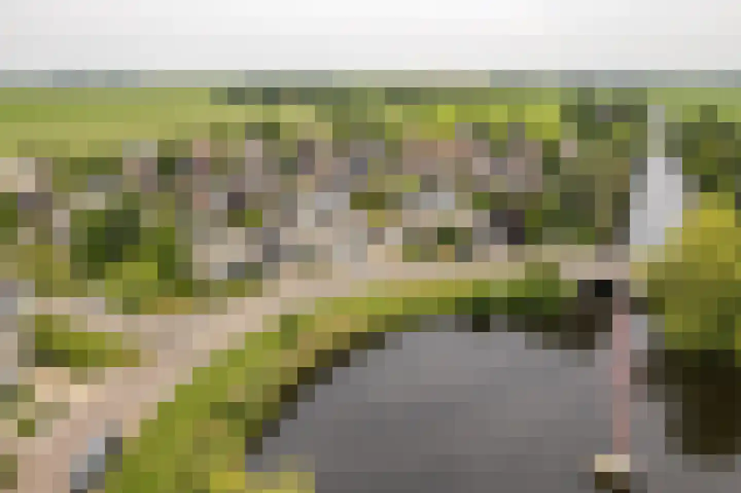 Helmhout 138 Joure thumbnail 33