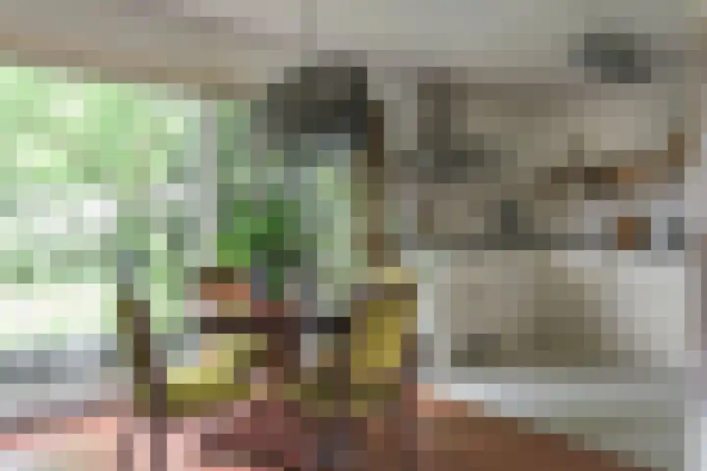 Helmhout 138 Joure thumbnail 4