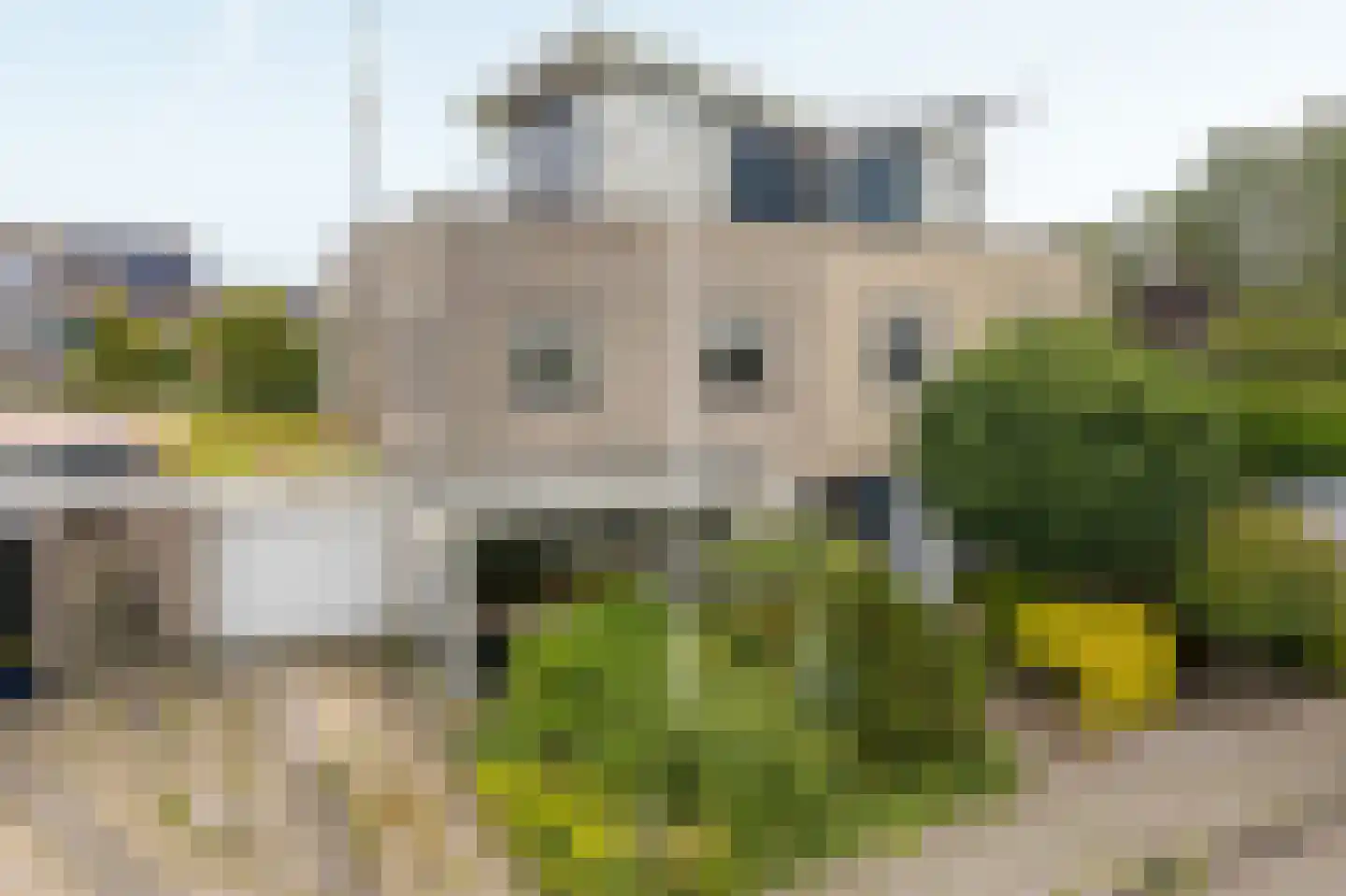 Helmhout 138 Joure thumbnail 6