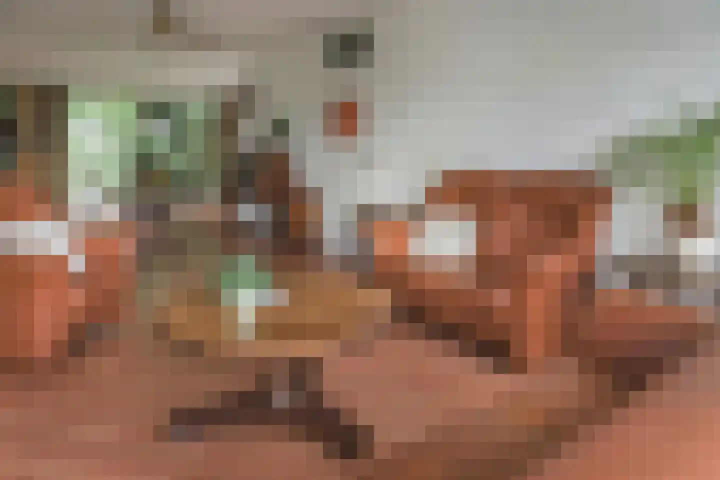 Helmhout 138 Joure thumbnail 8