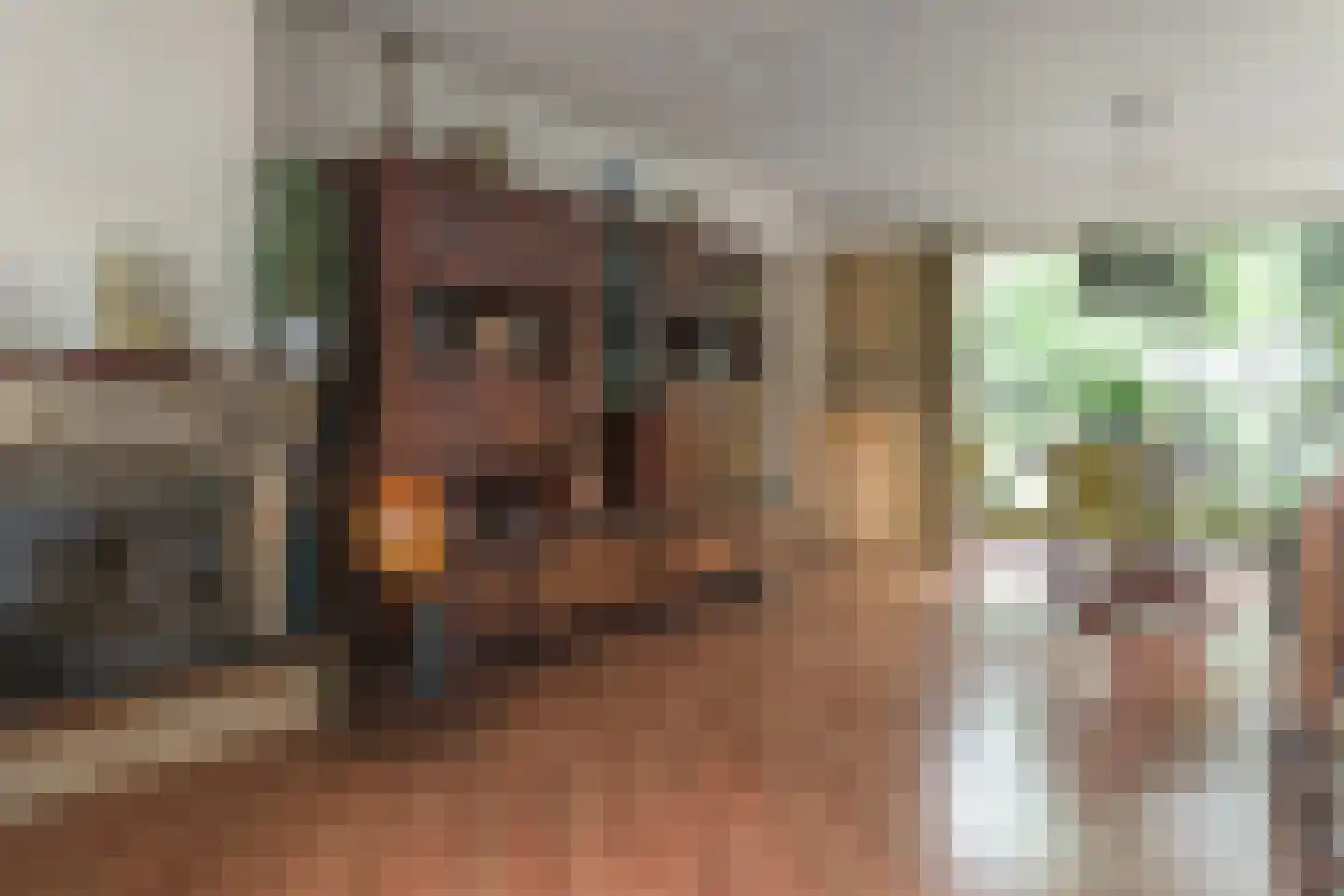Helmhout 138 Joure thumbnail 9
