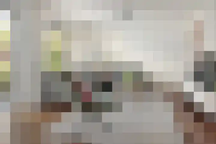 Helmhout 148 Joure thumbnail 10