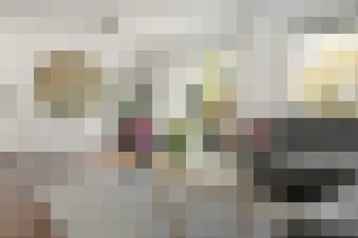 Helmhout 148 Joure thumbnail 11