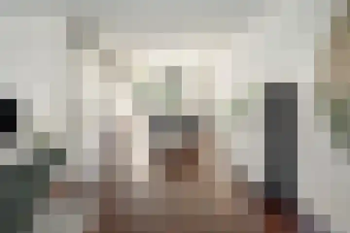 Helmhout 148 Joure thumbnail 12