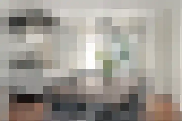 Helmhout 148 Joure thumbnail 13
