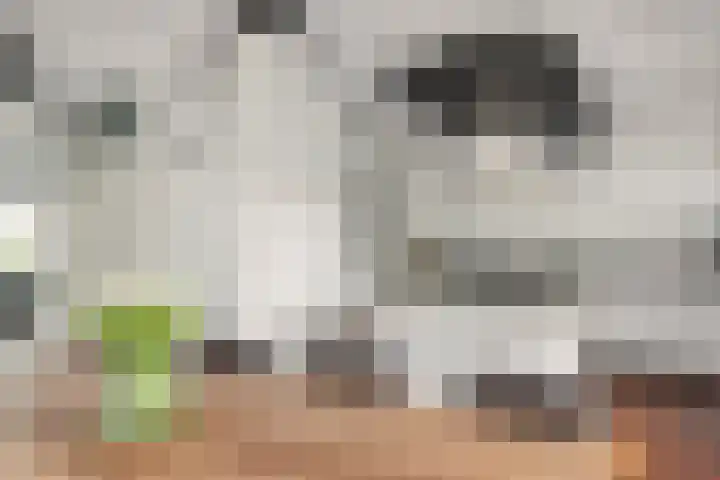Helmhout 148 Joure thumbnail 14