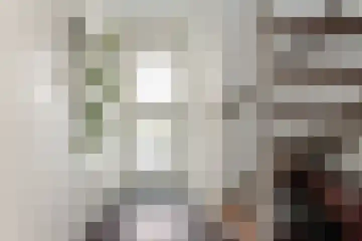 Helmhout 148 Joure thumbnail 20