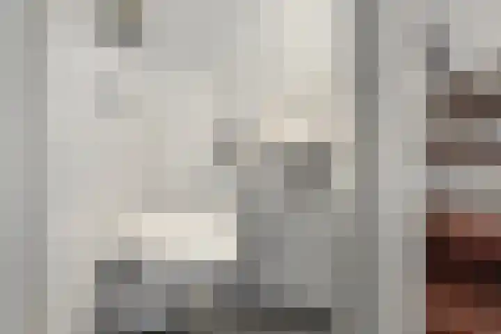 Helmhout 148 Joure thumbnail 21