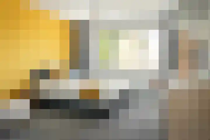 Helmhout 148 Joure thumbnail 22