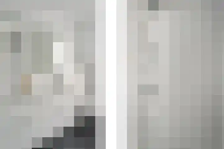 Helmhout 148 Joure thumbnail 26