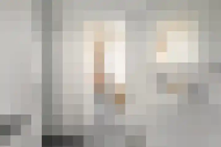 Helmhout 148 Joure thumbnail 29