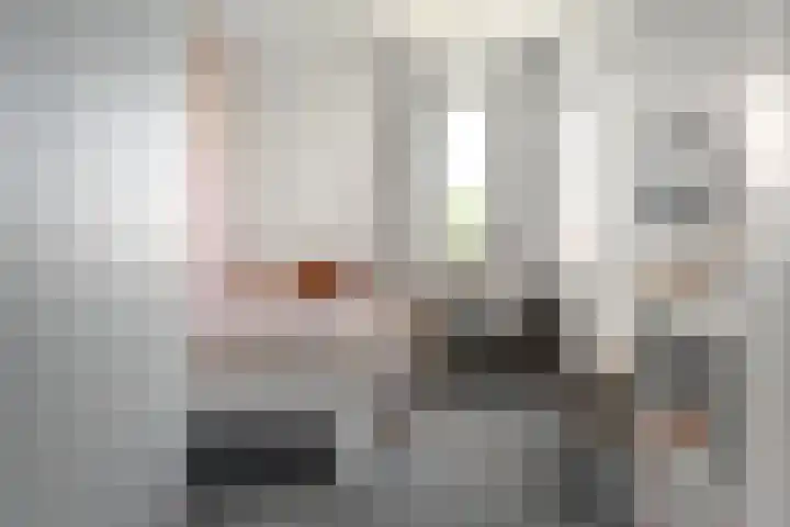 Helmhout 148 Joure thumbnail 30