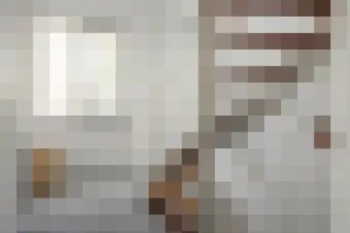 Helmhout 148 Joure thumbnail 31