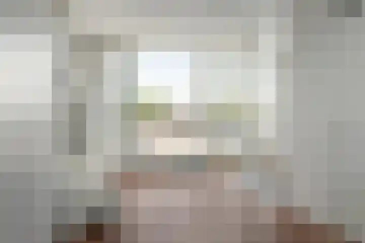 Helmhout 148 Joure thumbnail 33