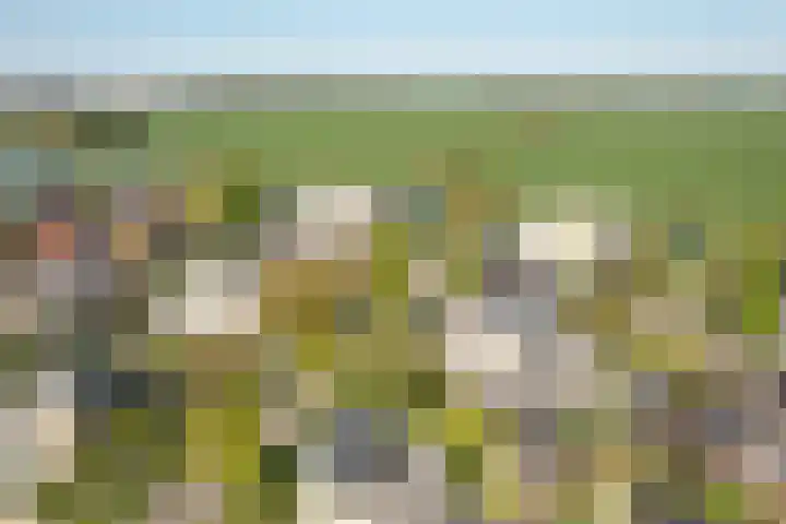 Helmhout 148 Joure thumbnail 34