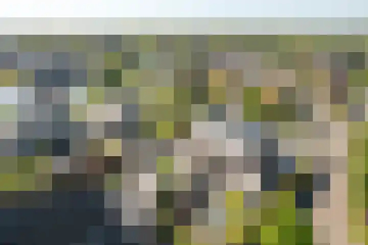 Helmhout 148 Joure thumbnail 35
