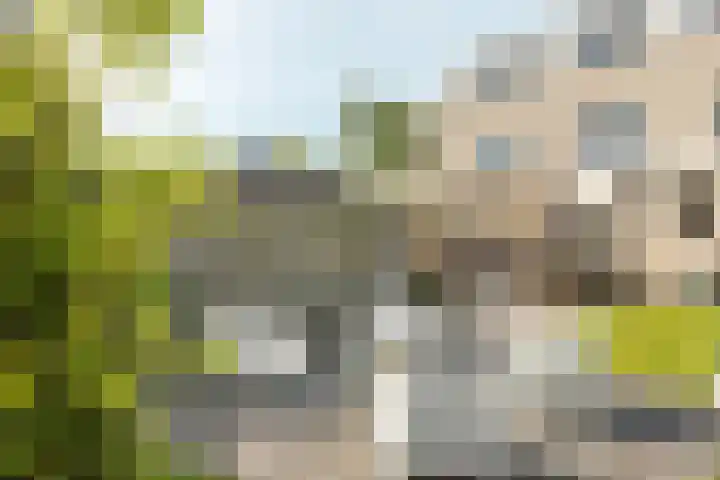 Helmhout 148 Joure thumbnail 36