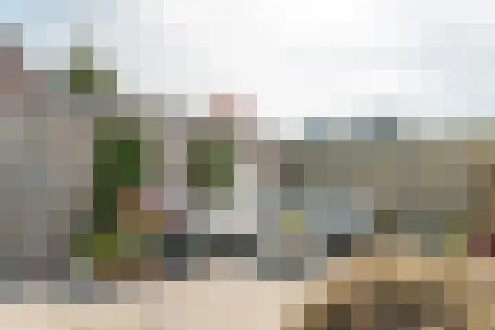 Helmhout 148 Joure thumbnail 37