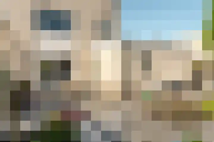 Helmhout 148 Joure thumbnail 38