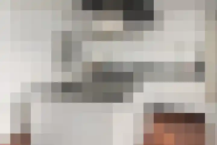 Helmhout 148 Joure thumbnail 4