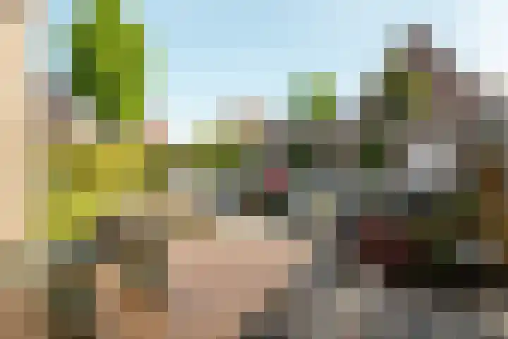 Helmhout 148 Joure thumbnail 40