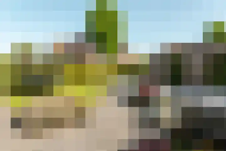 Helmhout 148 Joure thumbnail 41