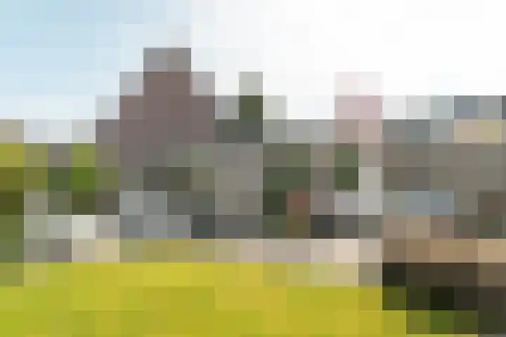 Helmhout 148 Joure thumbnail 42