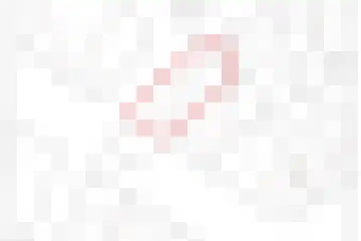 Helmhout 148 Joure thumbnail 46