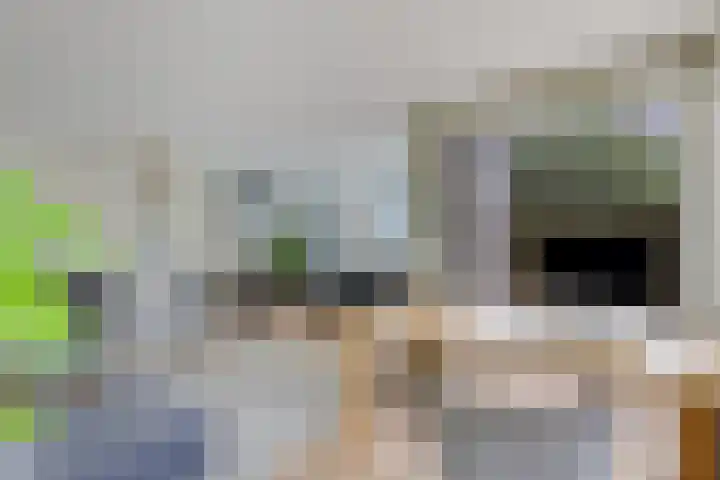 Helmhout 159 Joure thumbnail 12
