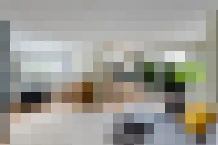 Helmhout 159 Joure thumbnail 13