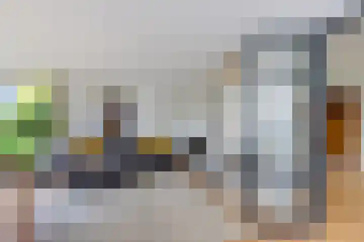Helmhout 159 Joure thumbnail 14