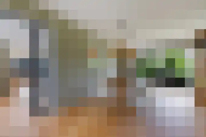Helmhout 159 Joure thumbnail 15