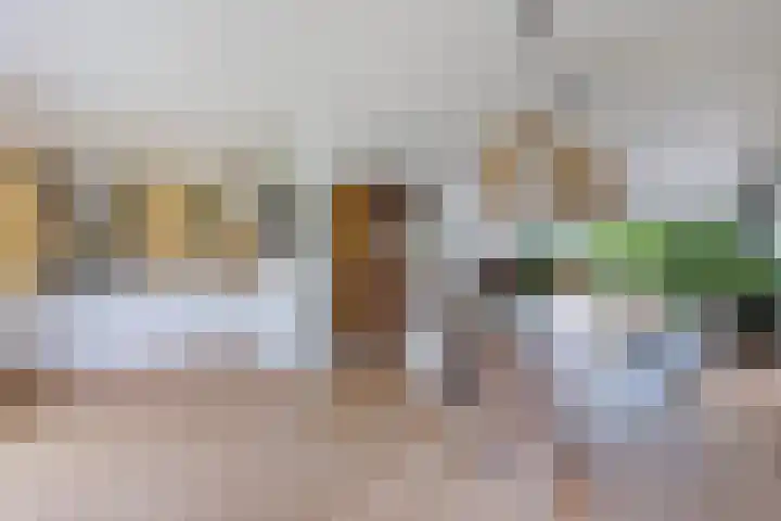 Helmhout 159 Joure thumbnail 16