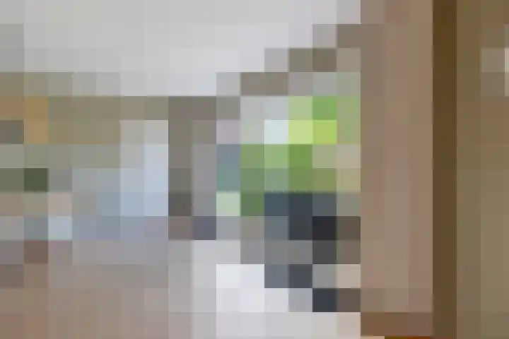 Helmhout 159 Joure thumbnail 18