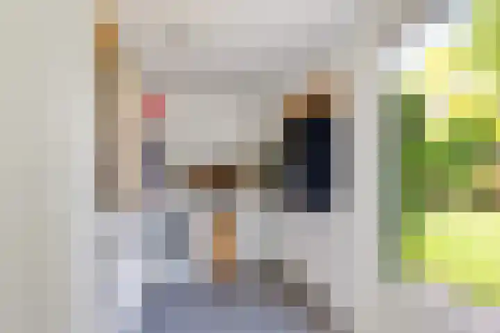 Helmhout 159 Joure thumbnail 19