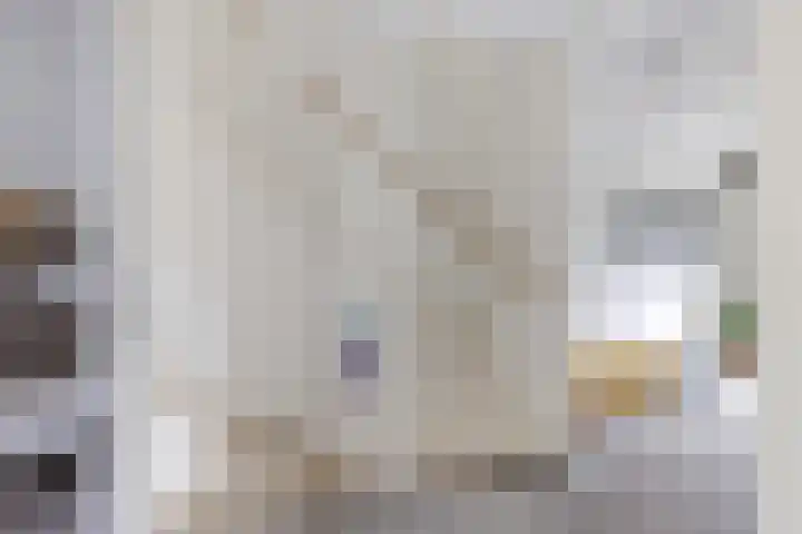 Helmhout 159 Joure thumbnail 21