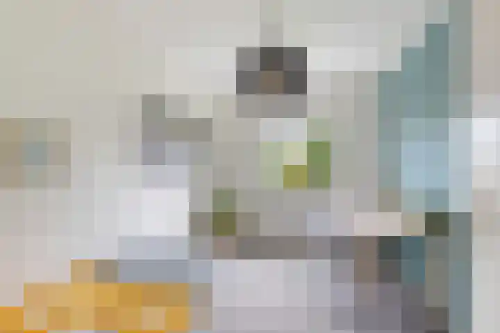 Helmhout 159 Joure thumbnail 24