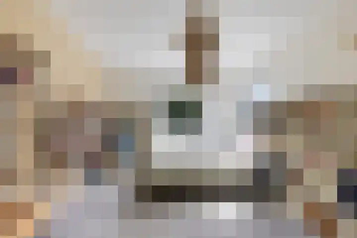 Helmhout 159 Joure thumbnail 25
