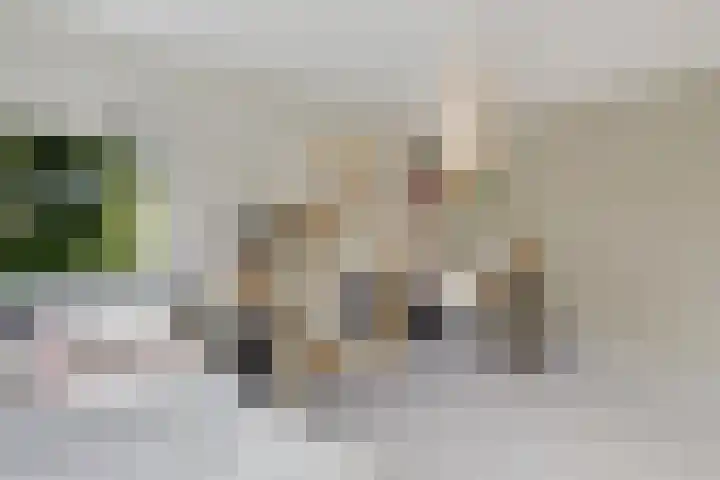 Helmhout 159 Joure thumbnail 26
