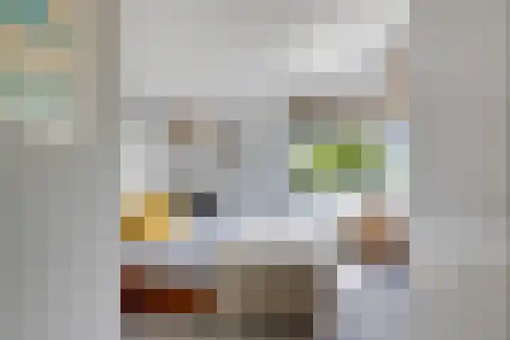 Helmhout 159 Joure thumbnail 29