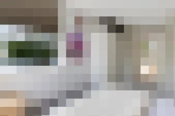 Helmhout 159 Joure thumbnail 30