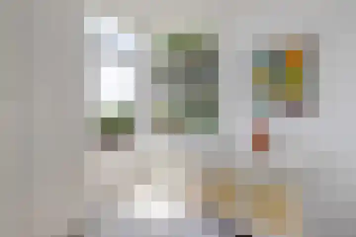 Helmhout 159 Joure thumbnail 31