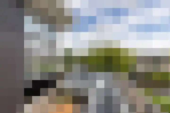 Helmhout 159 Joure thumbnail 33